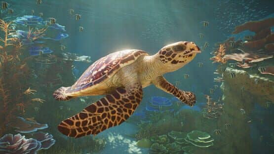 Planet Zoo 2 Steam Deluxe Edition screenshot 4
